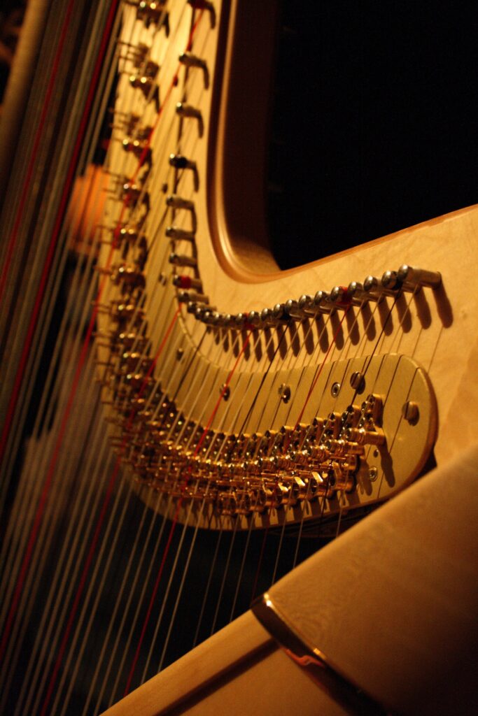Harp Concert — Koncertní sál Pražské konzervatoře, Prague